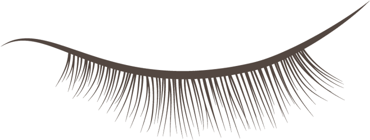 Brush Vector Eyelash - Eyelash Extensions (907x460), Png Download