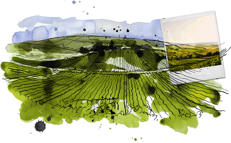 Urville And Its Region - Grass (750x465), Png Download