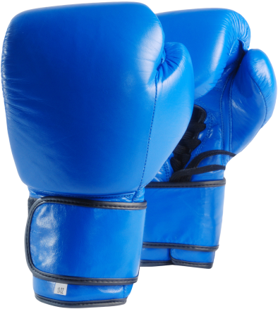 Boxing Gloves Png Transparent Image - Boxing Gloves Png Transparent (500x475), Png Download