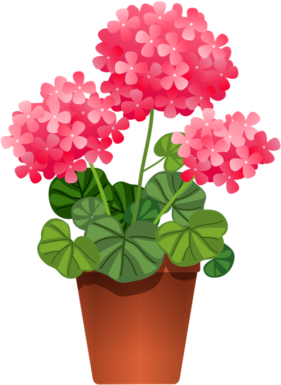 Potted Flowers Flower Clipart, Flowers Nature, Potted - Potted Plant Clipart (573x800), Png Download