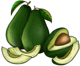 Avocado, Avocado, Food, Background Png And Psd - Common Guava (360x360), Png Download