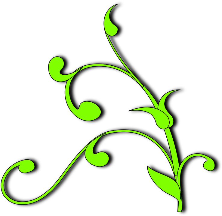 How To Set Use Plant Vine Clipart (600x585), Png Download