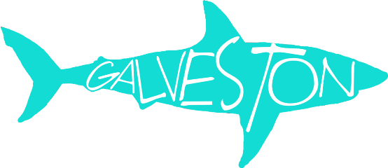Shark Galveston Freetoedit - Squaliformes (554x240), Png Download