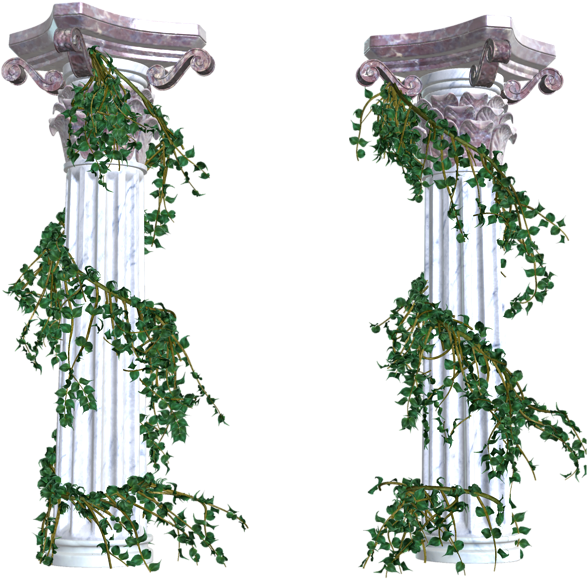 Vines Clipart Png Transparent Images - Vines Transparent Png (596x600), Png Download