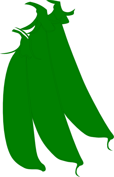 Beans (384x594), Png Download