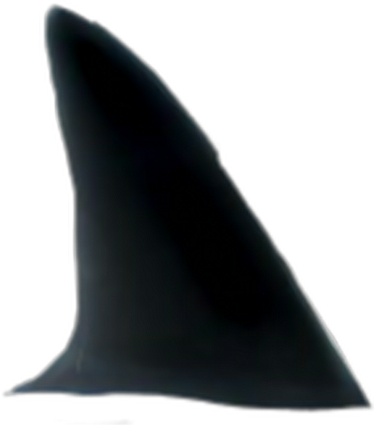 Whale (1024x1024), Png Download