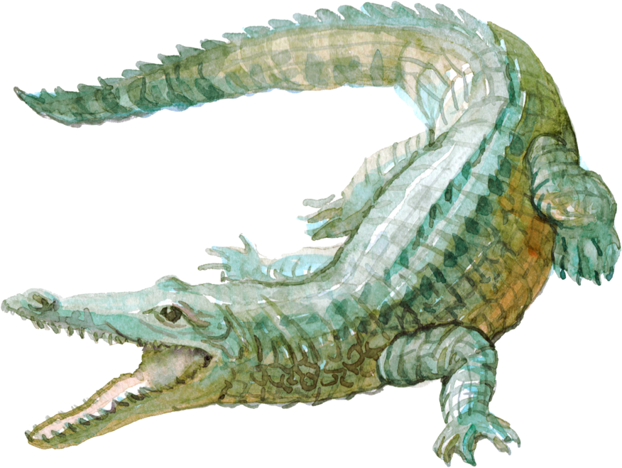 Jpeg Aligator Beetle (1000x1000), Png Download