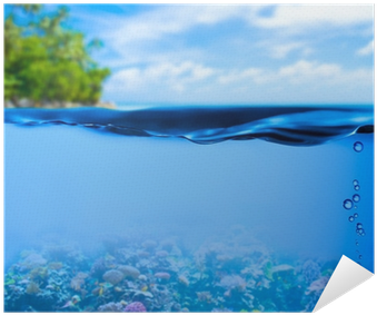 Underwater Tropical Sea With Water Surface Background - Cad Lights 18 Media Basket (400x400), Png Download