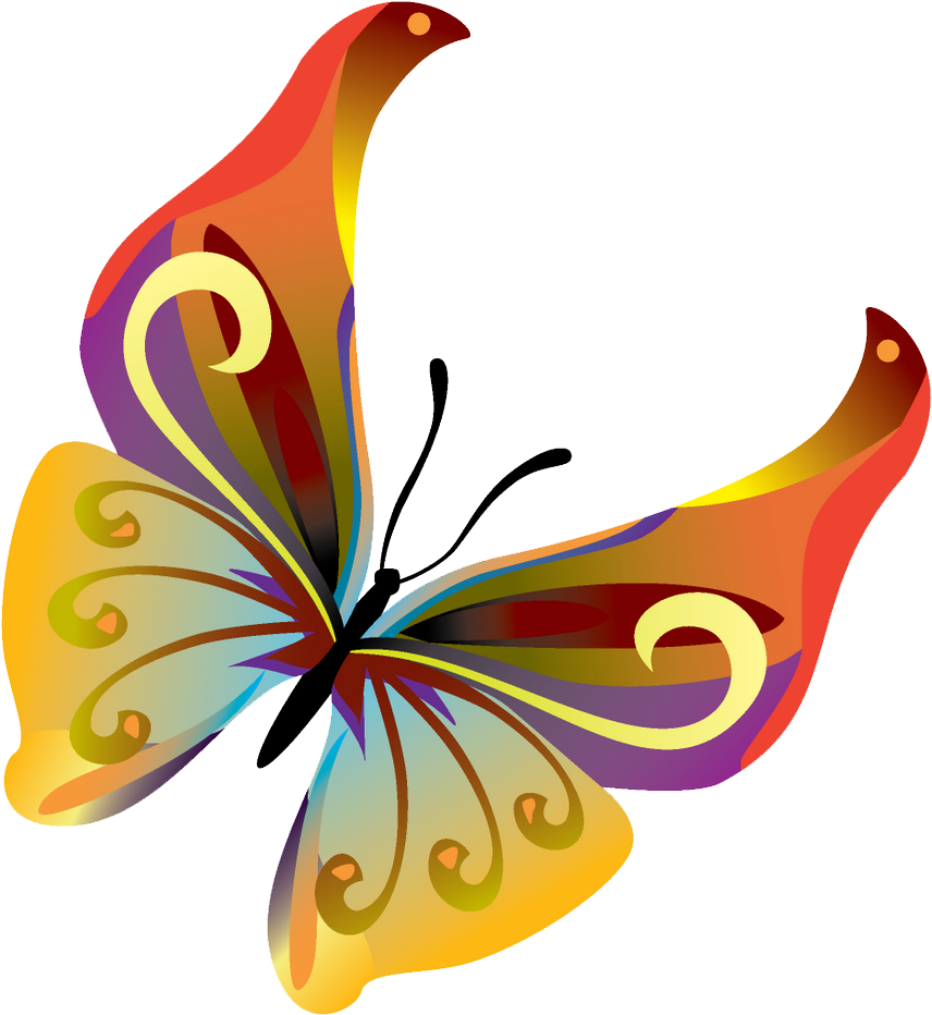 Butterflies Vector Png Transparent Image - Butterfly Vector Transparent (1000x1000), Png Download