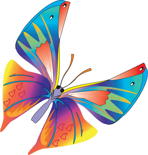 Butterfly Vector - Butterfly Vector Png (500x524), Png Download