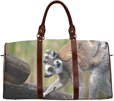 Ring-tailed Lemur Catta Katta Mother And Baby Waterproof - Small Bags For Girls For Travel (500x500), Png Download