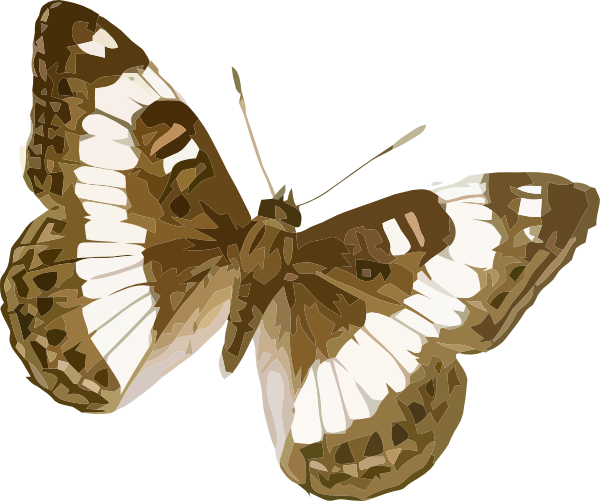 Clip Art At Clker Com Vector Online - Cartoon Butterfly Brown Png (600x501), Png Download