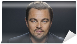 Delaplaine Leonardo Dicaprio- His Essential Quotations (400x400), Png Download
