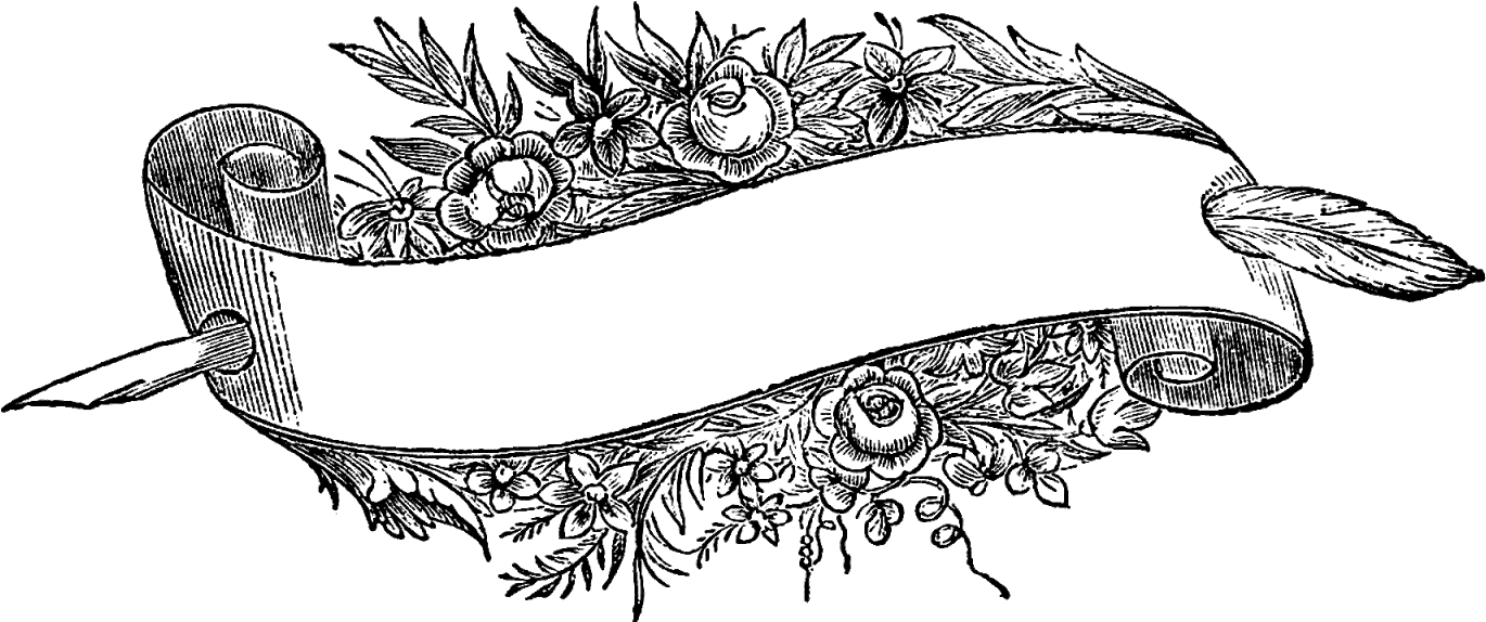 Label Vintage Png - Flower Banner Png Black (1600x867), Png Download