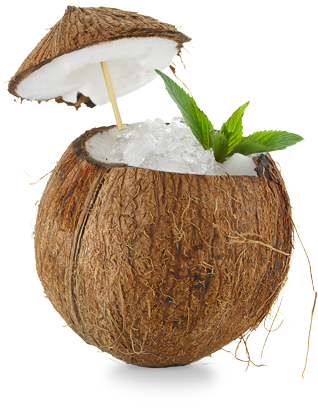 Coconut - Coconut Cocktail (500x470), Png Download