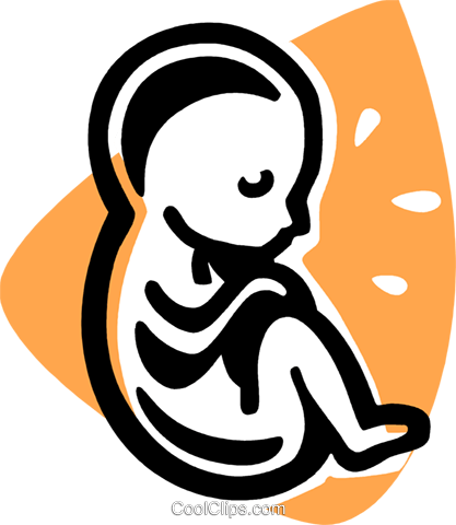 Fetus Royalty Free Vector Clip Art Illustration - Fetus Clipart (417x480), Png Download