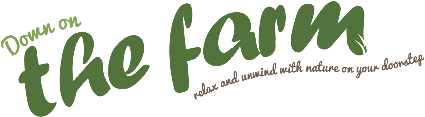 Coastal Carriage (848x302), Png Download