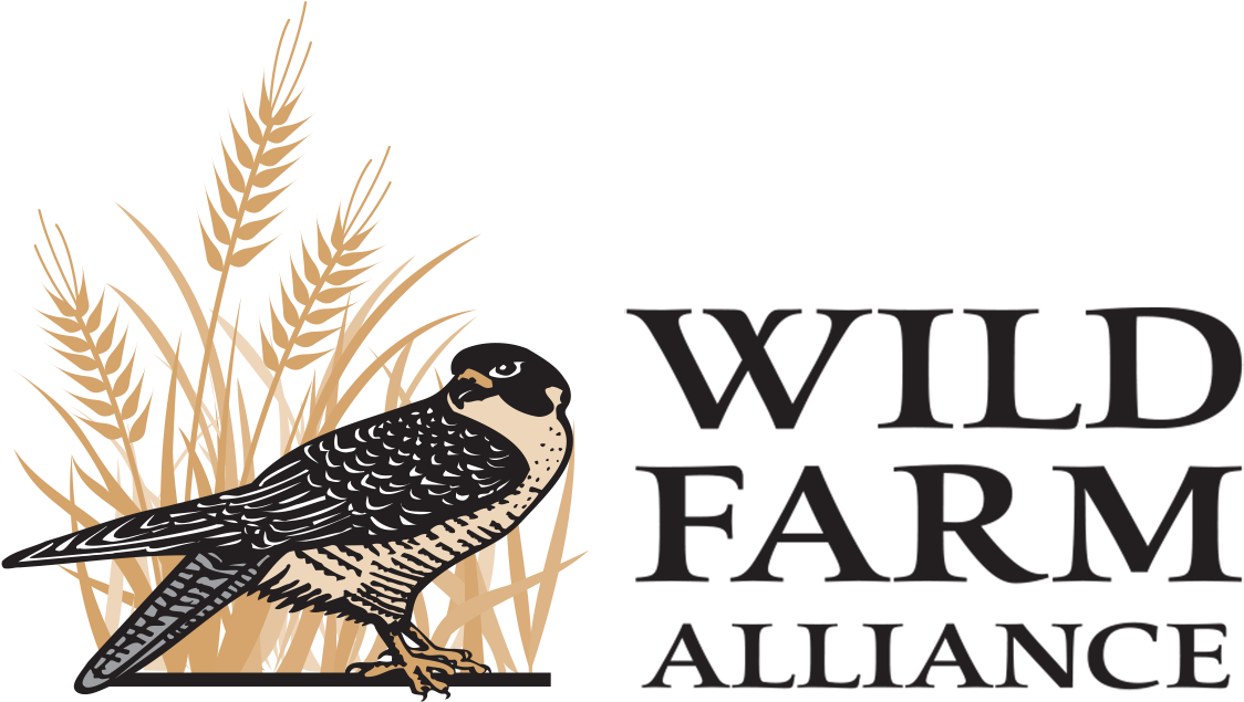 Wellesley College Library (1138x645), Png Download