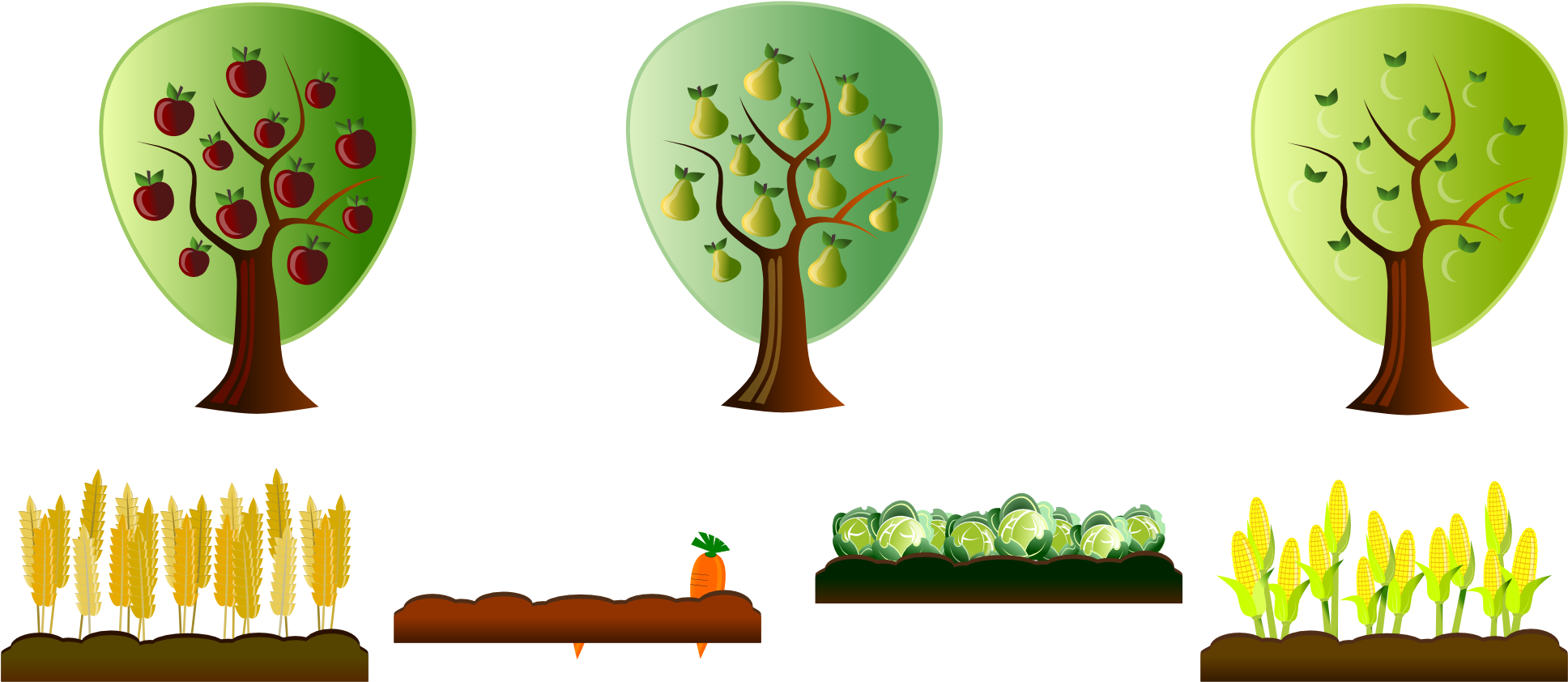 America - Farm Crop Clipart (1969x882), Png Download