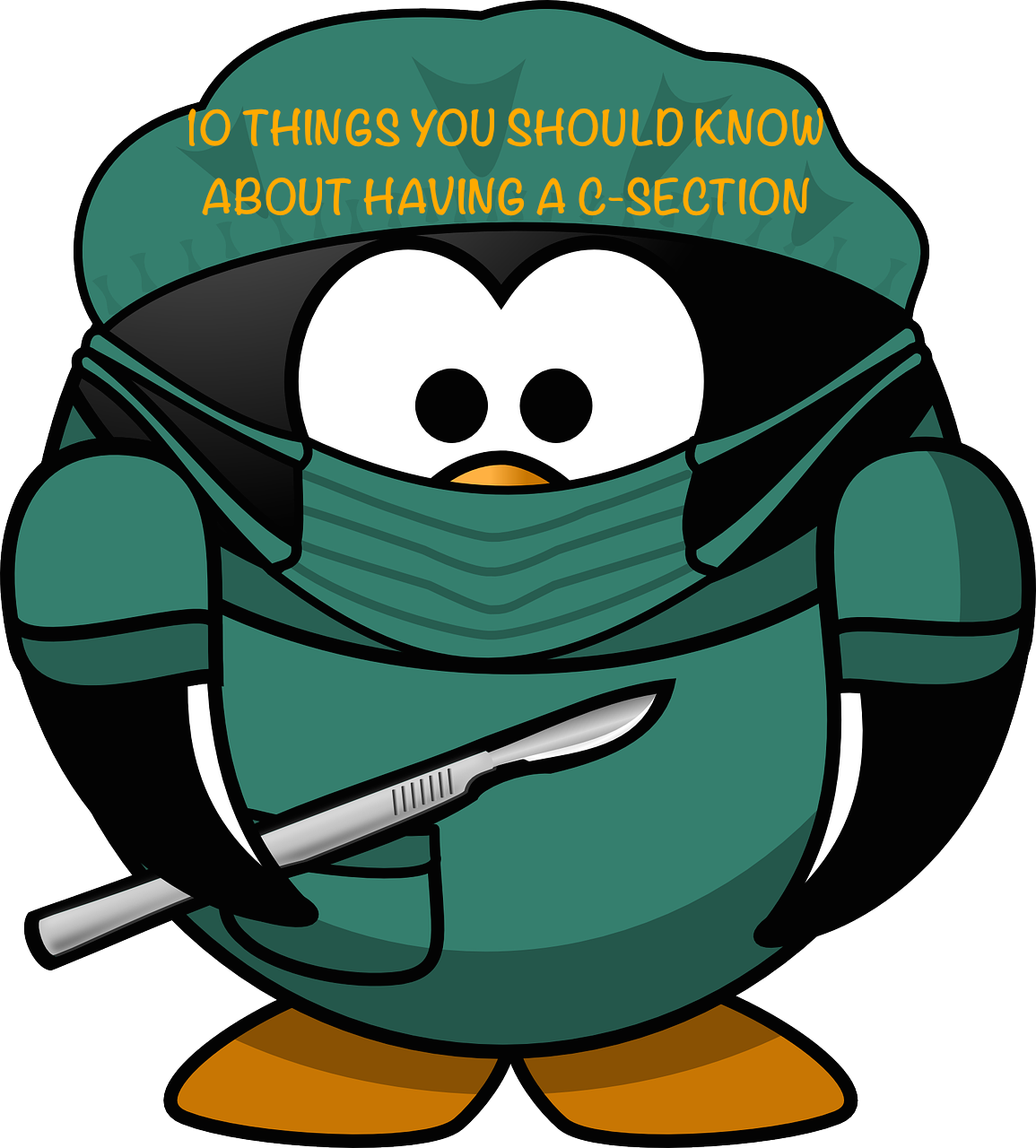 10 Things About Csection - Surgeon Clipart (1155x1280), Png Download