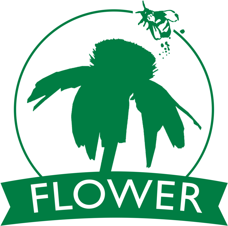Flower Green - Figuras Geometricas Para Armar Esfera (1000x1000), Png Download