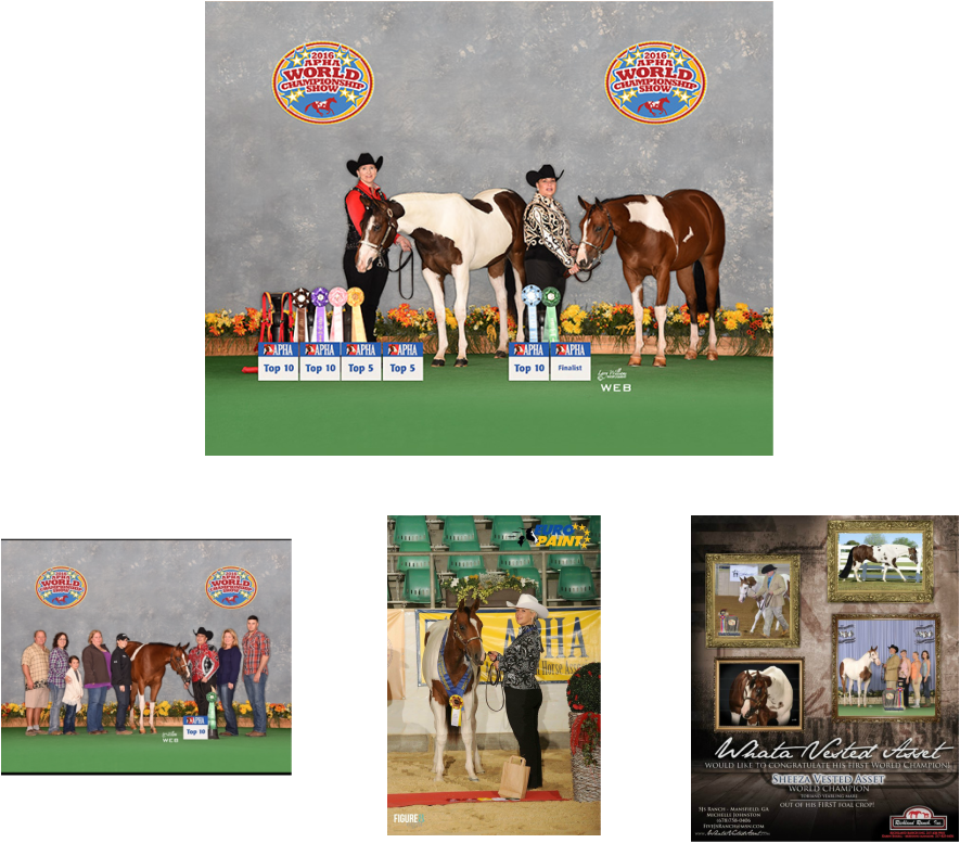 Apha Homozygous Stallion Frozen Semen Available In - Frozen Bovine Semen (885x777), Png Download