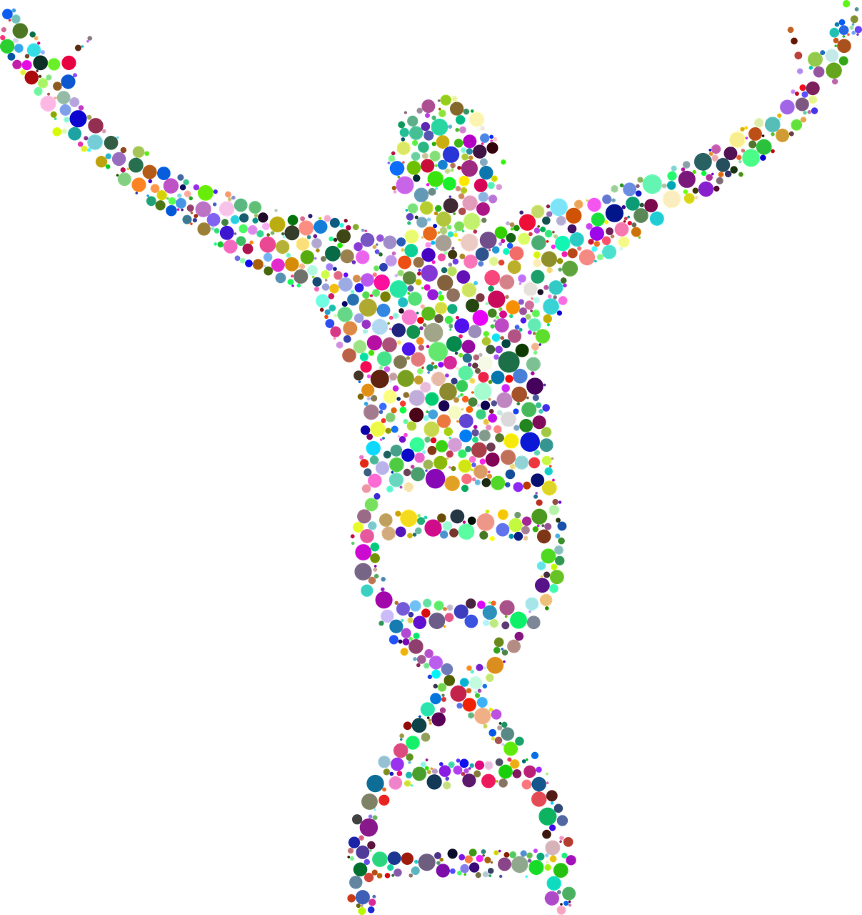 Sperm Dna Fragmentation Test - Biology Dna (1207x1280), Png Download