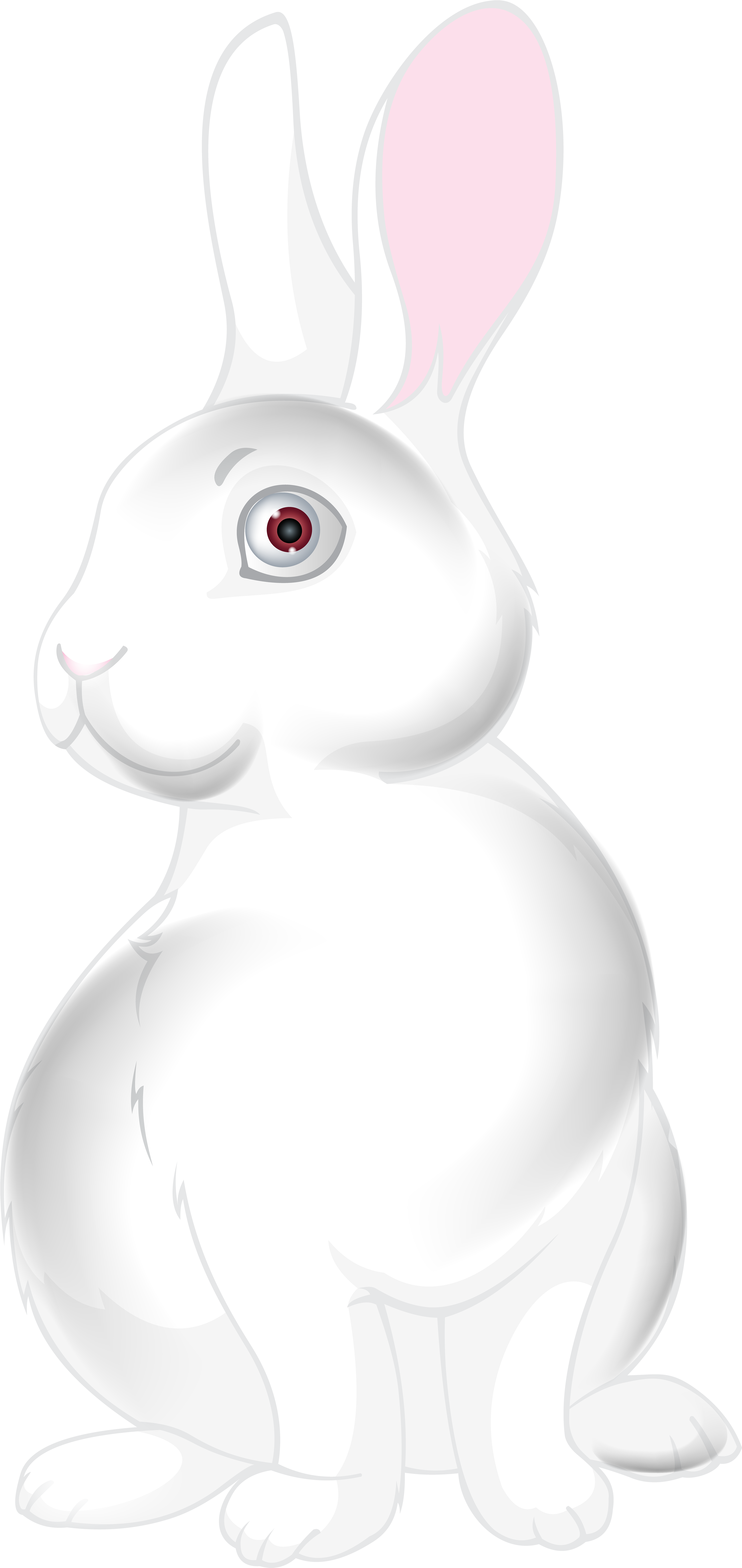 Hare (3842x8000), Png Download