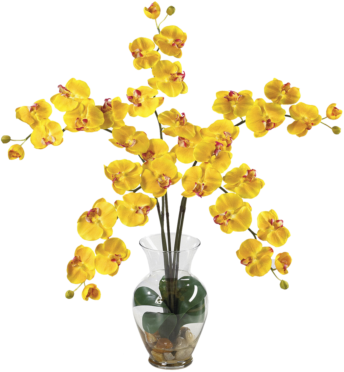 Classical Flower Vase Png Clipart - Nearly Natural Liquid Illusion Phalaenopsis Silk Orchid (1280x1280), Png Download