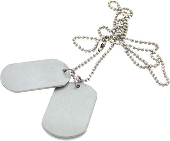 Dog Tags - Project Management Professional (721x600), Png Download