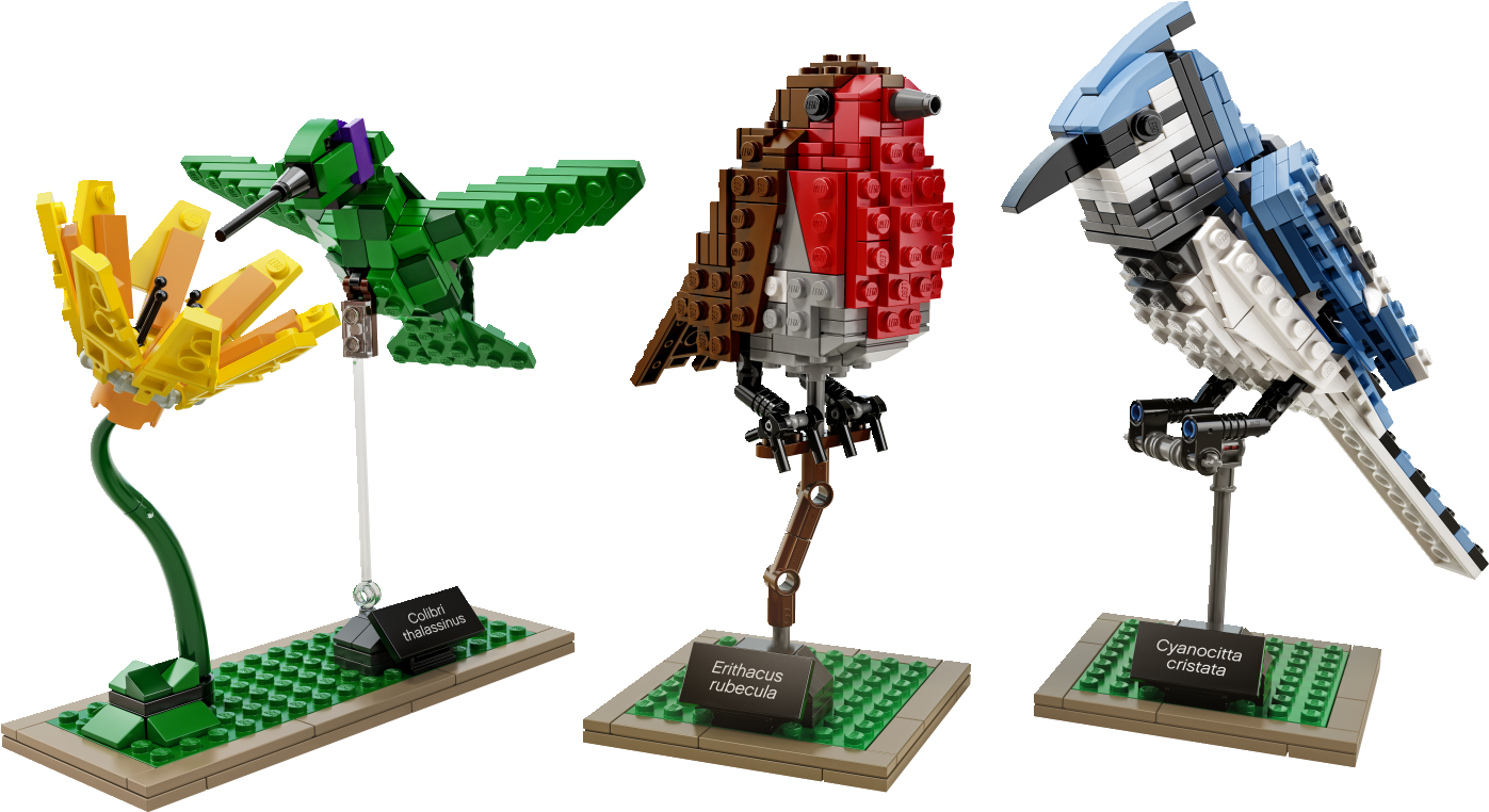 *love* This - Lego Birds (1600x900), Png Download