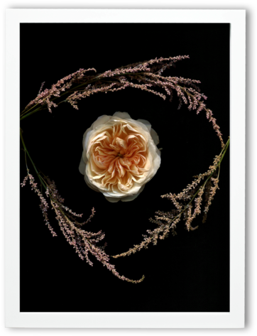 Torn Edge - Motif (400x501), Png Download