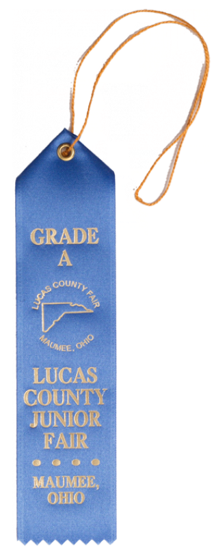 157p 1 5 8 X 7 Pointed Top Custom Award Ribbonribbonsrb157p - Label (800x800), Png Download