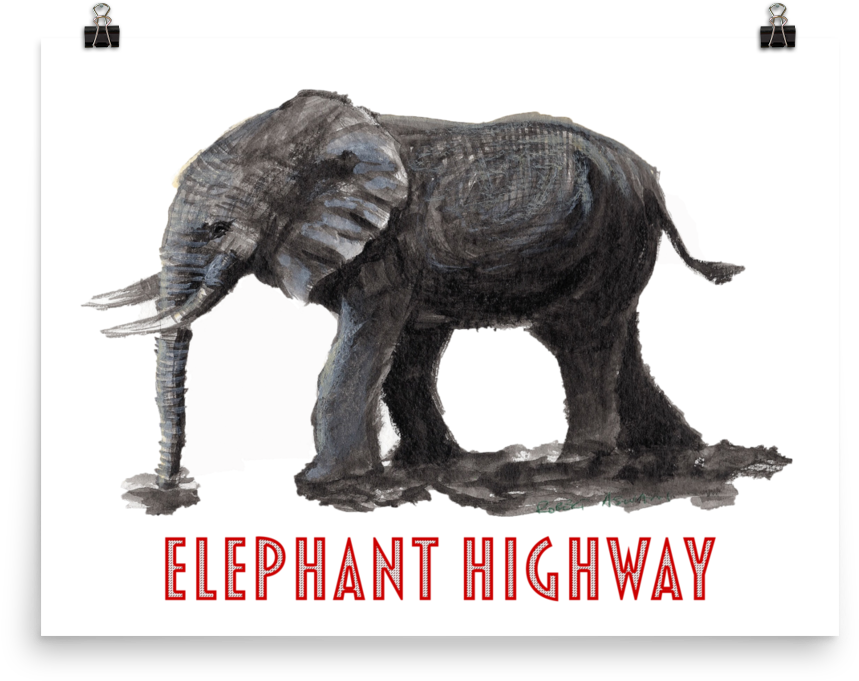 Elephant (1000x1000), Png Download