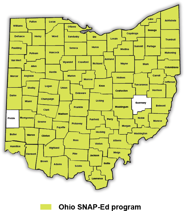 Download Ohio Snaped County Map Ohio Full Size PNG Image PNGkit