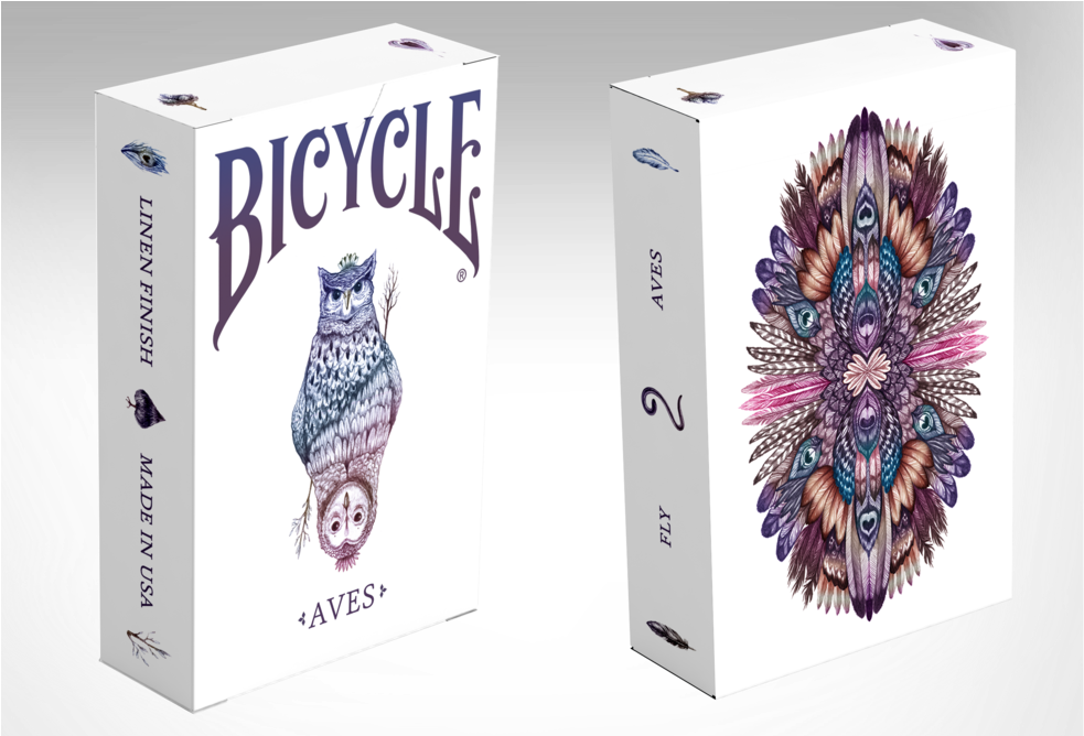 Bicycle Owl Aves Front And Back (1000x667), Png Download