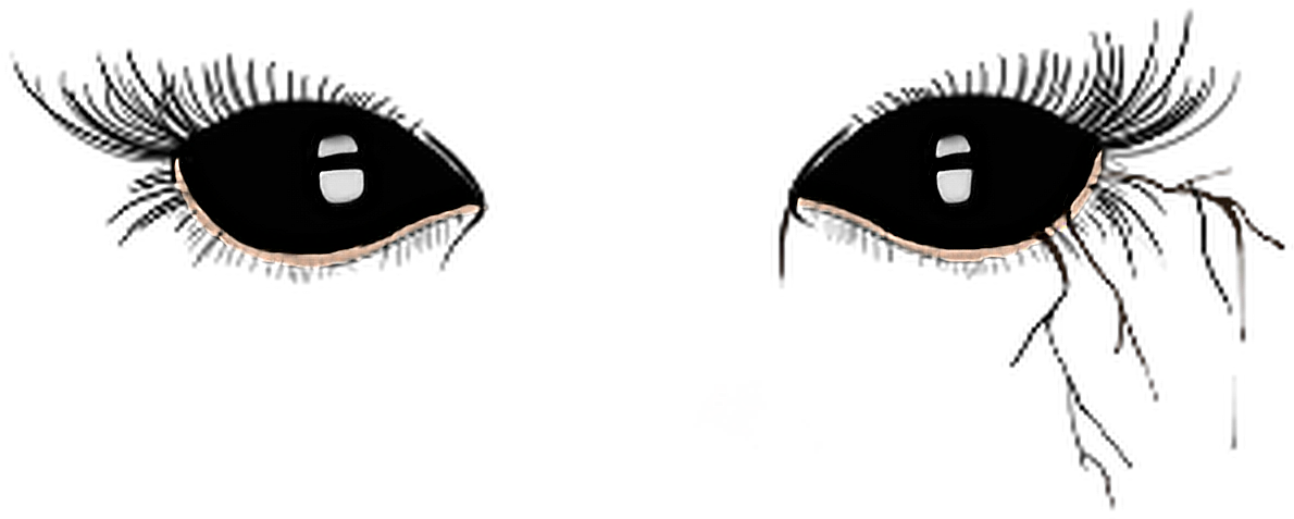 Report Abuse - Imágenes De Terror Png (1256x516), Png Download