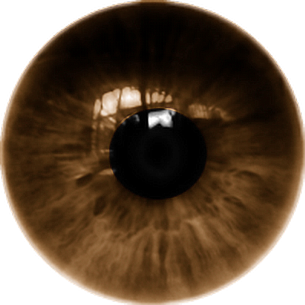 Download Picsart Eye Lens Png Full Size PNG Image PNGkit