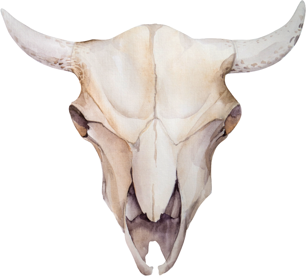 Bone Horns Transparent Decorative - Cow And Flowers (1024x925), Png Download