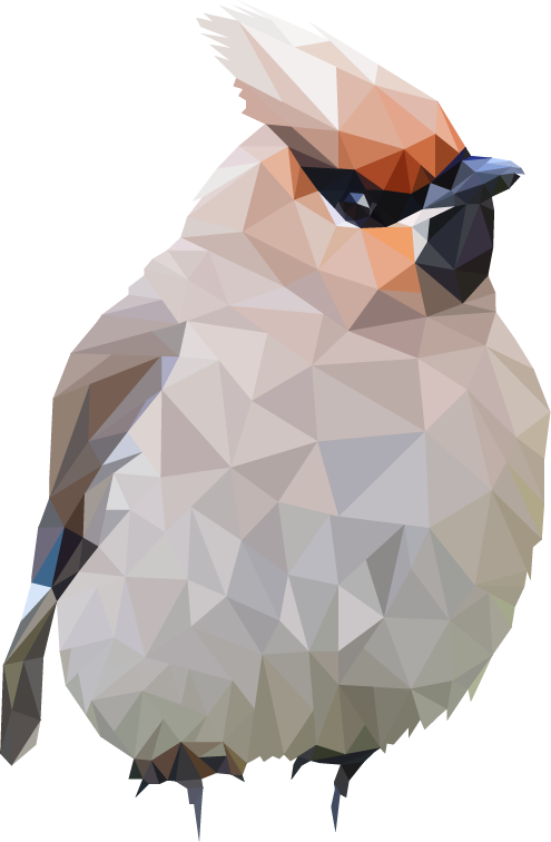 Polygon Bird 3 By Maru Benz Aihere Paper Piecing, Benz, - Bird Polygonal (495x756), Png Download