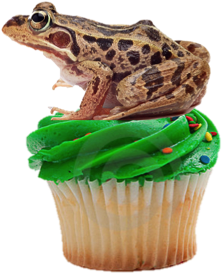 Jabba's Cupcake - Frogs & Lizard Artwork Room Decor Wall Sticker (323x395), Png Download