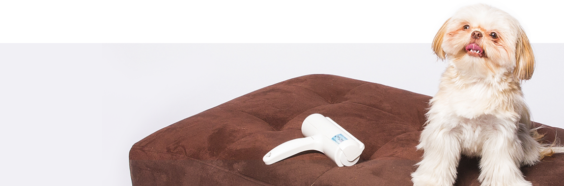 Get Your Chom Chom Here - Pet (1148x380), Png Download