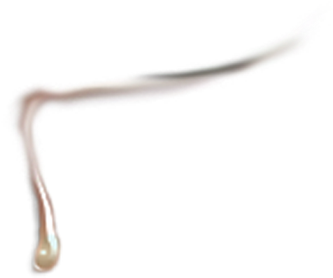 Lagrimas De Verdade Png (534x493), Png Download