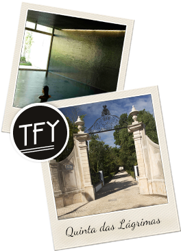 Quinta Das Lágrimas Hotel ***** - Poster (350x369), Png Download