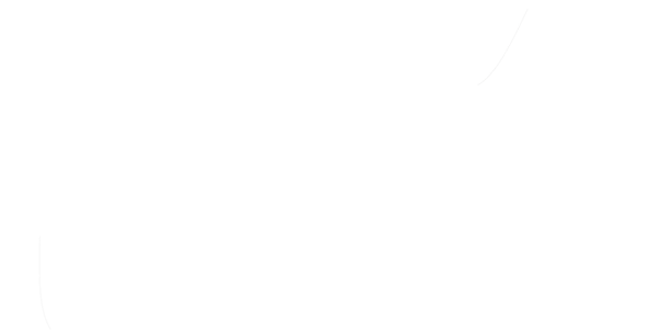Spiderwebs - Paper Product (600x302), Png Download