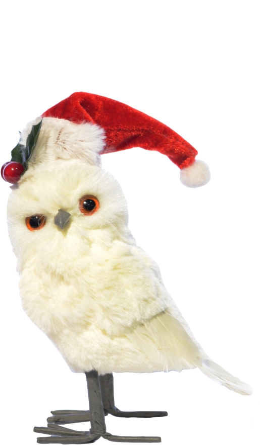 Búho De Pie Blanco Gorro De Navidad - Christmas Day (600x1067), Png Download
