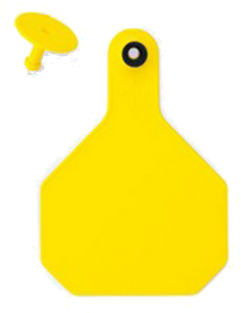 Ytex Blank 2 Piece Tag - Illustration (700x700), Png Download