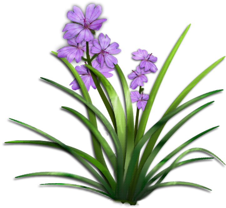 Browse Popular All Time - Plant With Flower Png (770x731), Png Download