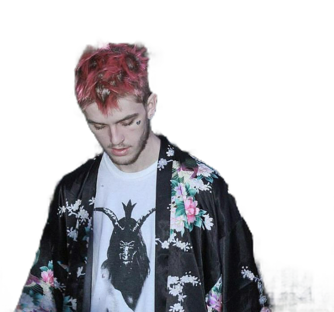 Lilpeep Peep Aesthetic Pink Freetoedit - Gustav And Jahseh (683x638), Png Download