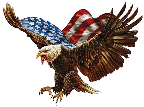 American Flag Eagle Png - Eagle Billiards (500x397), Png Download